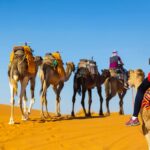 3 DAYS MARRAKECH TO MERZOUGA DESERT TOUR